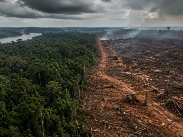 Amazônia ainda perde 370 km² em um mês, apesar da queda recente no desmatamento